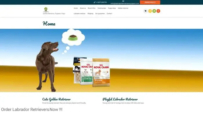 Screenshot of
