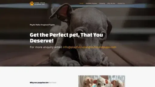 Screenshot of