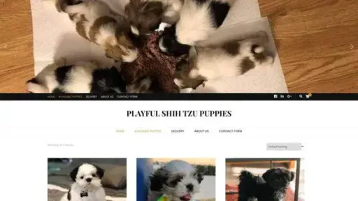 Screenshot of