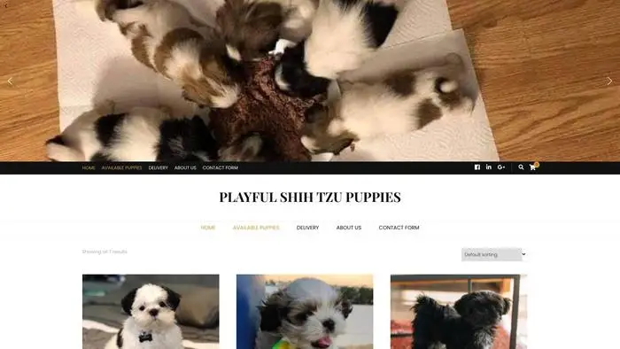 Screenshot of