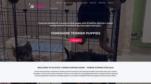 Screenshot of