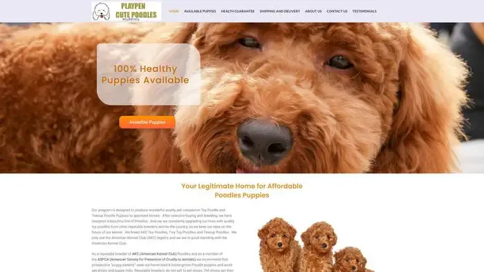 Screenshot of