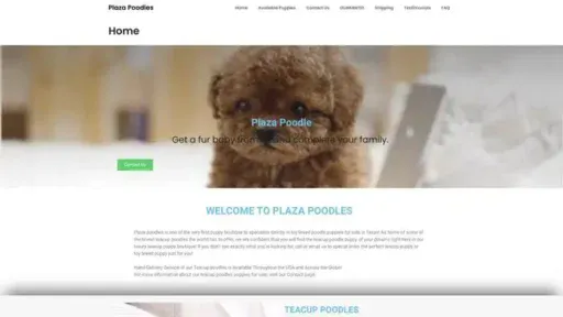 Screenshot of