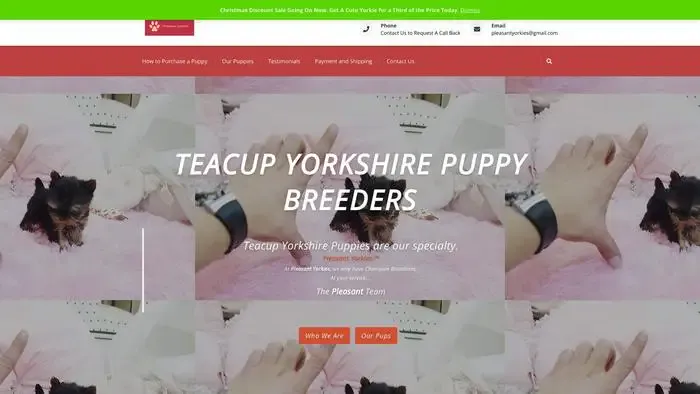 Screenshot of