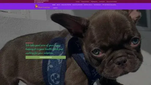 Screenshot of