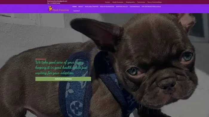 Screenshot of