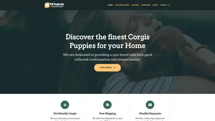 Screenshot of