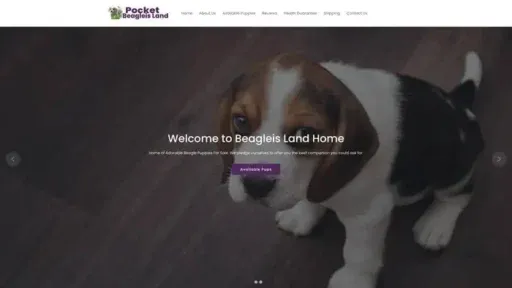 Screenshot of