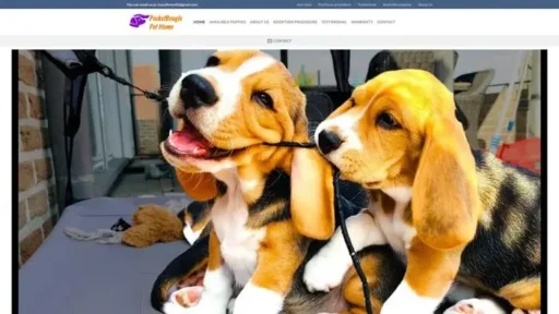 Screenshot of