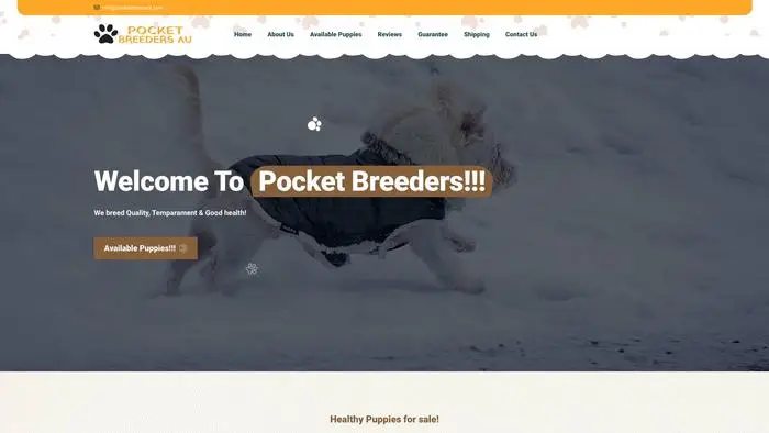 Screenshot of
