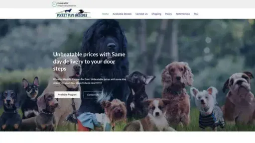 Screenshot of