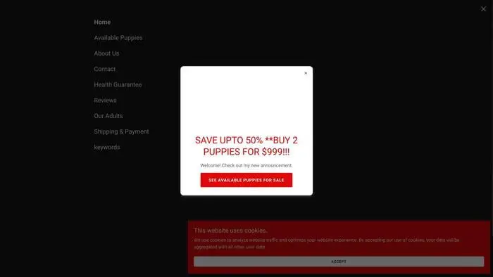 Screenshot of