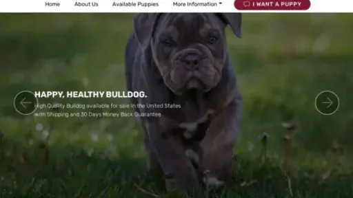 Screenshot of