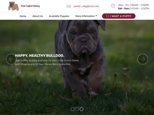 Screenshot of
