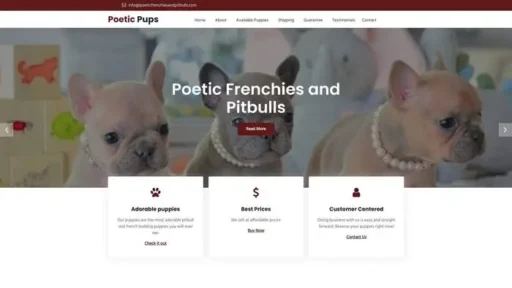 Screenshot of