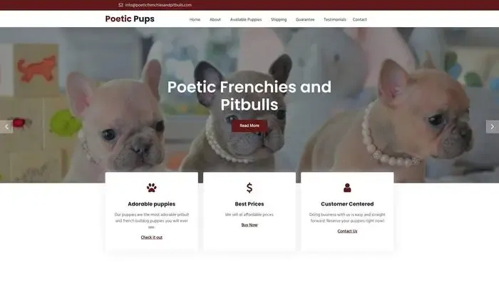 Screenshot of