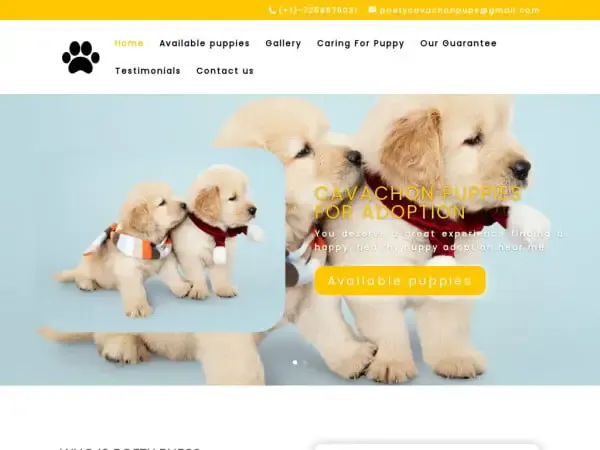 Screenshot of