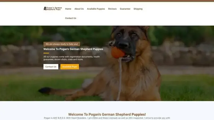 Screenshot of