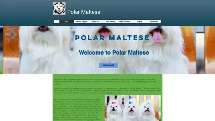 Screenshot of