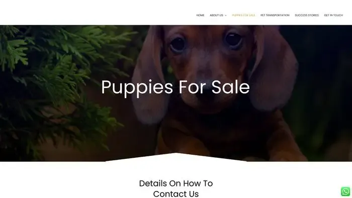 Screenshot of