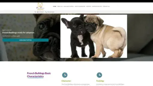 Screenshot of
