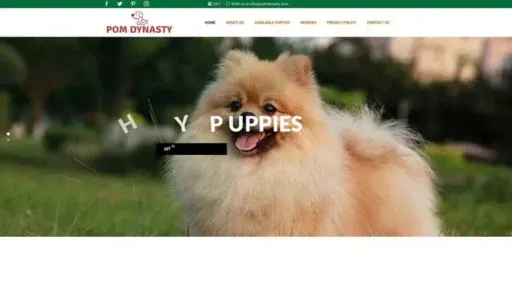 Screenshot of