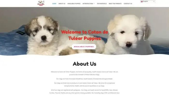 Screenshot of