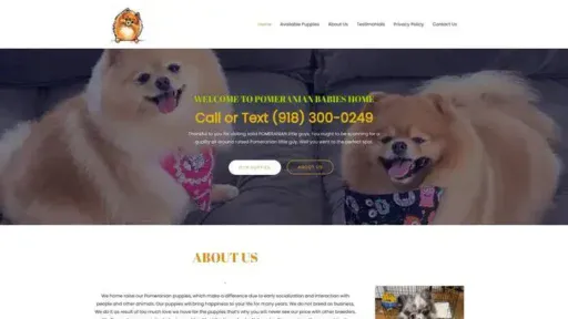 Screenshot of