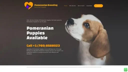 Screenshot of
