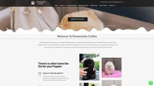 Screenshot of
