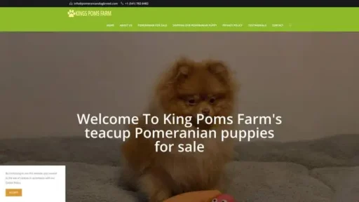 Screenshot of