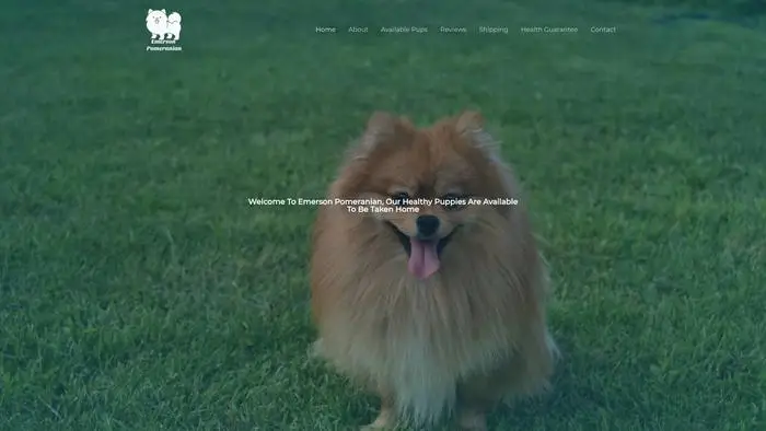 Screenshot of