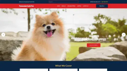 Screenshot of