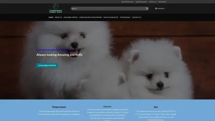 Screenshot of