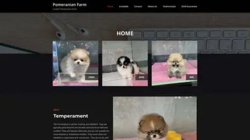 Screenshot of