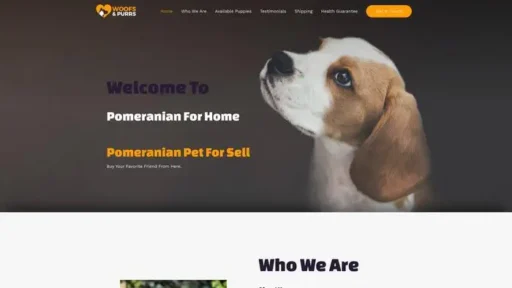 Screenshot of