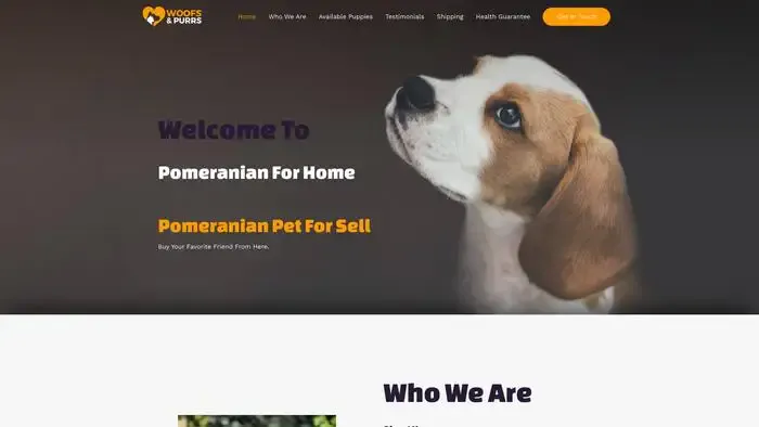 Screenshot of