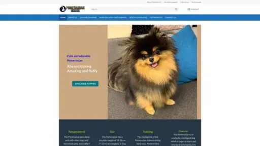 Screenshot of