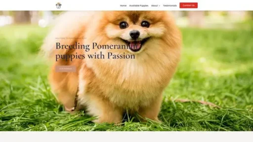 Screenshot of