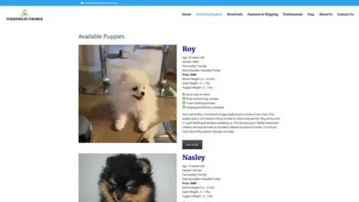 Screenshot of