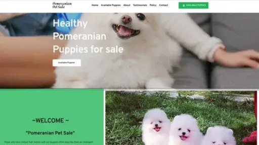 Screenshot of