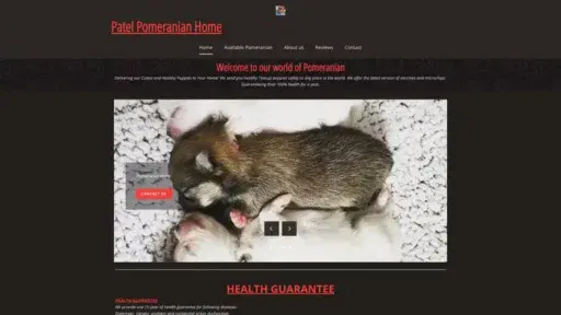 Screenshot of