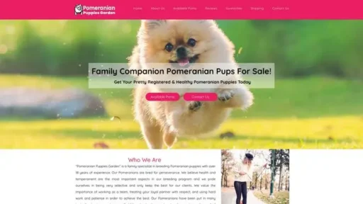Screenshot of