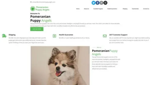 Screenshot of