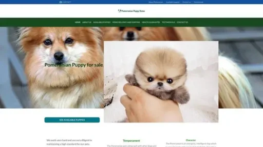 Screenshot of