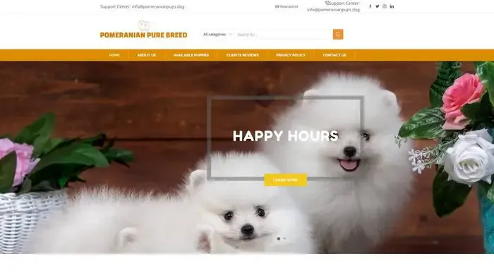 Screenshot of