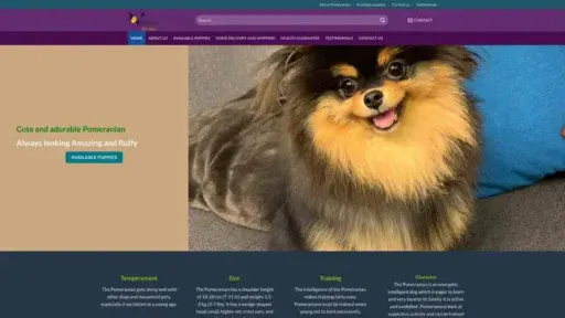 Screenshot of