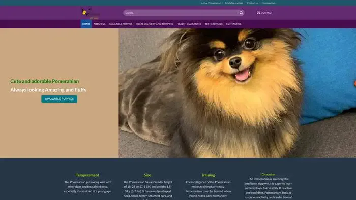 Screenshot of