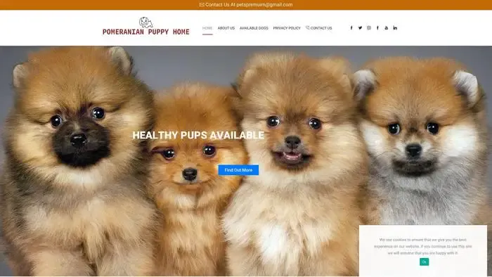 Screenshot of