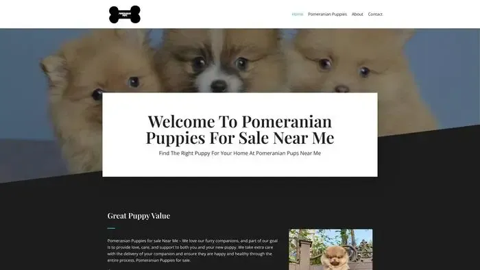Screenshot of